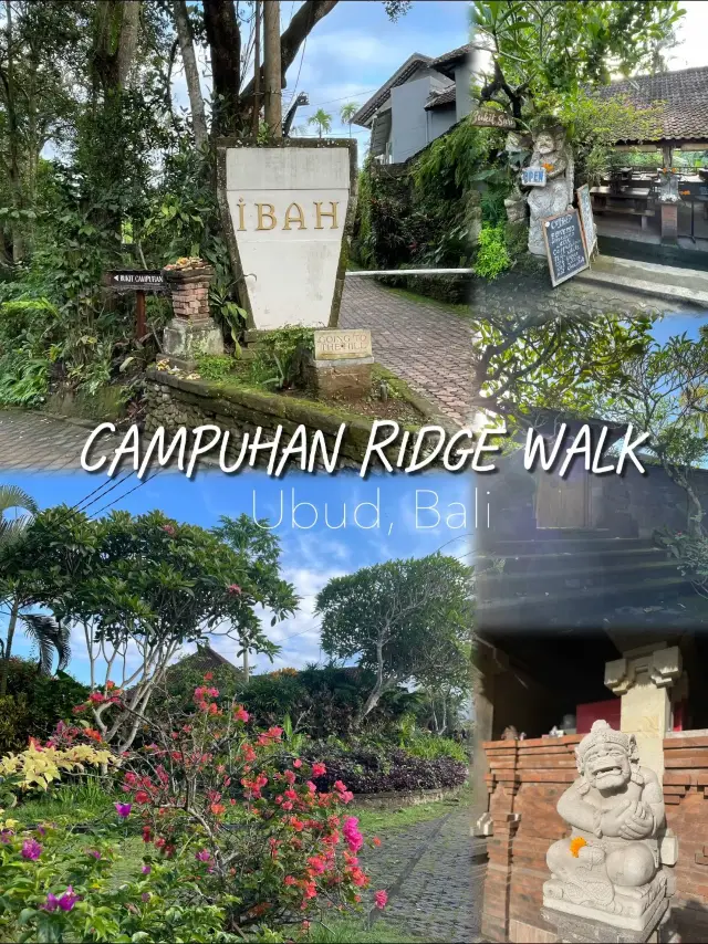 Campuhan Ridge Walk in Bali, Indonesia 🇮🇩 