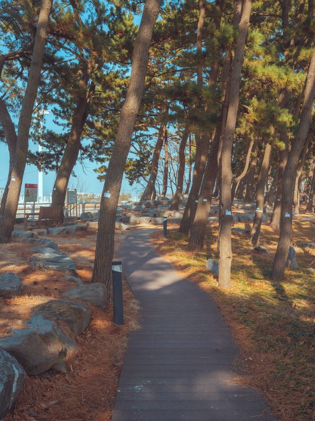 🌊제주바다에 온거같은 느낌이 드는 “대부도 방아머리해변”