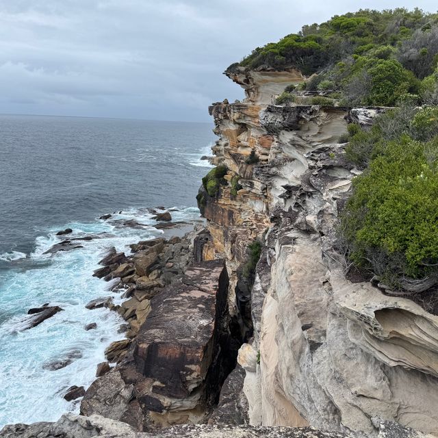 Royal national Watamolla beach Sydney Austral