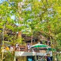 ร้านอาหาร วังร่มเมือง