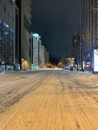 감성가득 삿포로 스스키노 니카상거리❄️