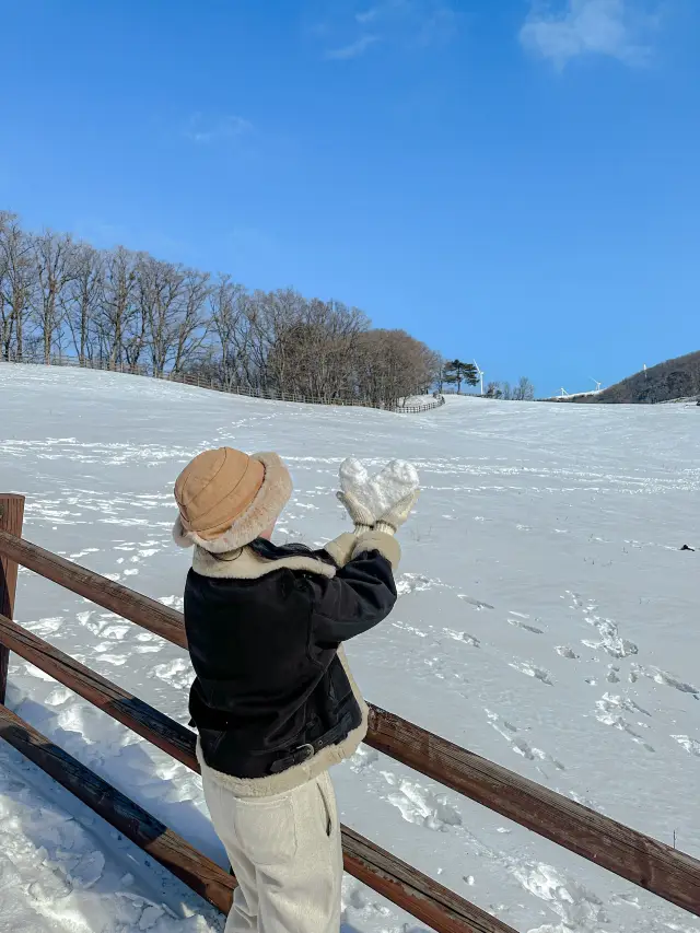 올겨울 핫했던 MZ 인증샷 🎞️