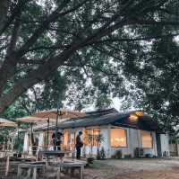 Raku cafe ร้านอาหารญีปุ่น สันกำแพง เชียงใหม่