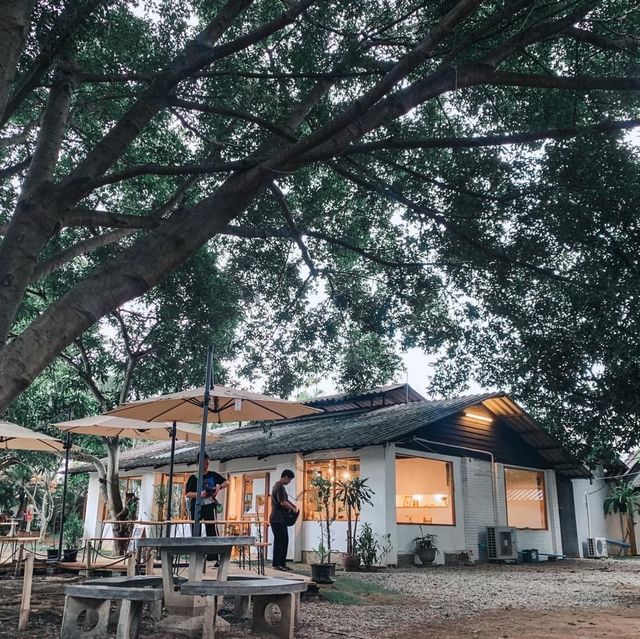 Raku cafe ร้านอาหารญีปุ่น สันกำแพง เชียงใหม่