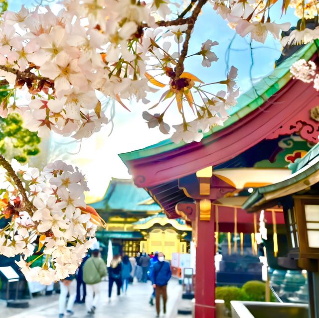 【上野東照宮/東京都】五重塔と桜が美しい神社