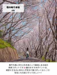 【日本の絶景】春休みからGWまで見頃あり！西日本のお花見おすすめスポット！