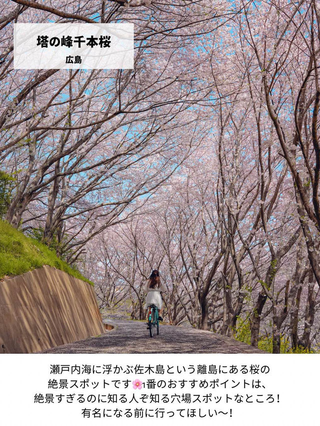【日本の絶景】春休みからGWまで見頃あり！西日本のお花見おすすめスポット！