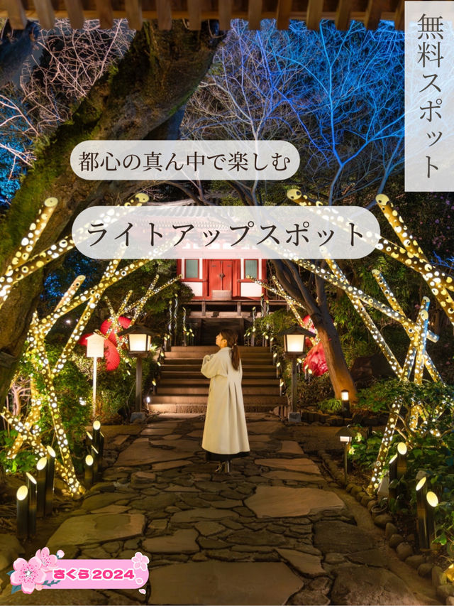 【東京都/品川】都会の真ん中で楽しむ無料のライトアップスポット