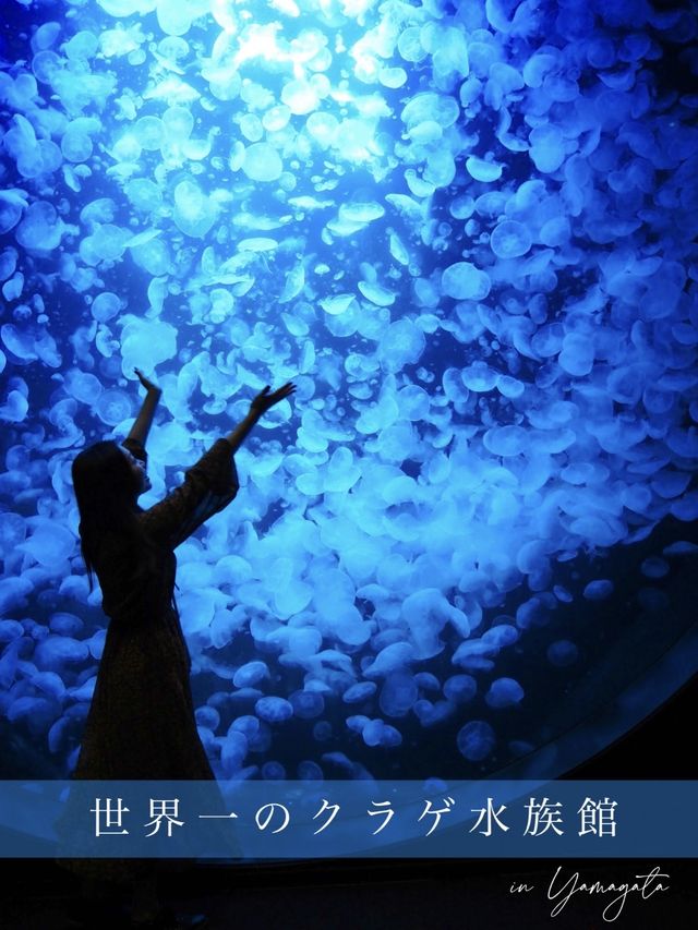 【山形】世界一のクラゲ水族館