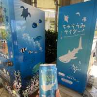 【日本沖繩】美麗海水族館🪸超美海洋生物🐬
