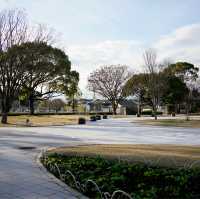 在動物園渡過美好放鬆的下午