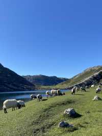 스페인 인생여행지 Lake of Covadonga