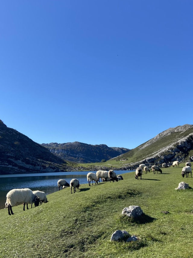 스페인 인생여행지 Lake of Covadonga
