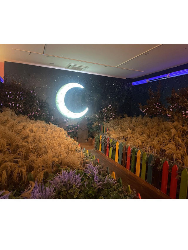 수많은 체험관에서 인생샷 건지기