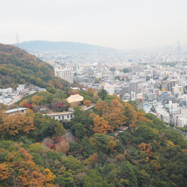 Kobe Nunobiki Herb Gardens&Ropeway