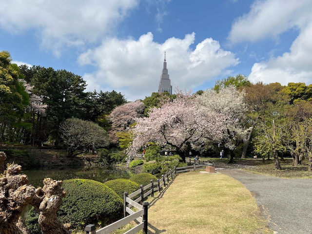 Shinjuku Gyoen National Garden