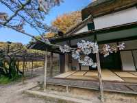 日本九州-大人小孩都愛的:御船山樂園飯店