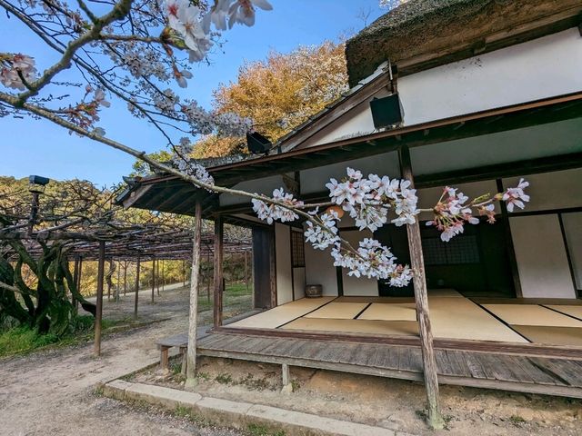 日本九州-大人小孩都愛的：御船山樂園飯店