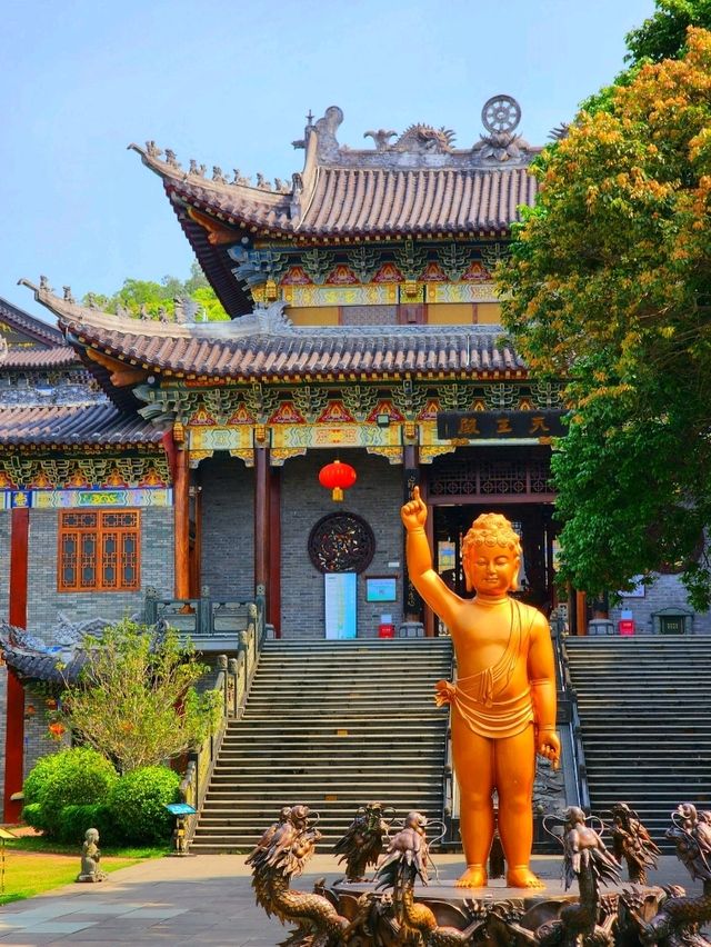感受六百先古寺的禪意 感受六百先古寺的禪意
