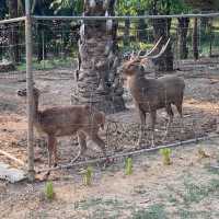 อาหารใต้หรอยแรง