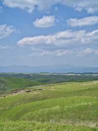 【熊本】何万年も前にできた阿蘇の大地を感じる絶景ビュースポット⛰️