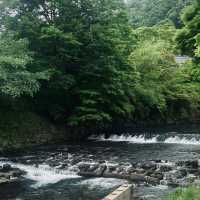 芥川櫻堤公園：城市綠洲，感受大自然之美