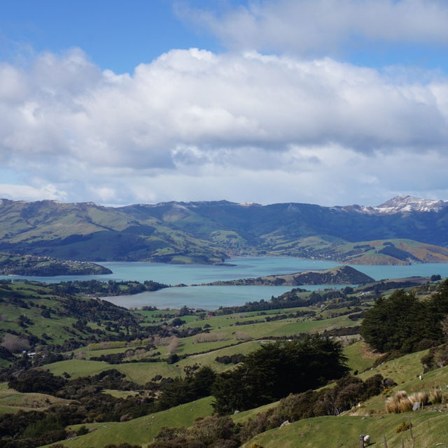 Charming coastal town in New Zealand