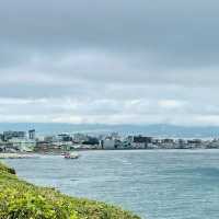 八丈植物公園：自然之美、科學教育和遊樂體驗於一體的綠色寶庫