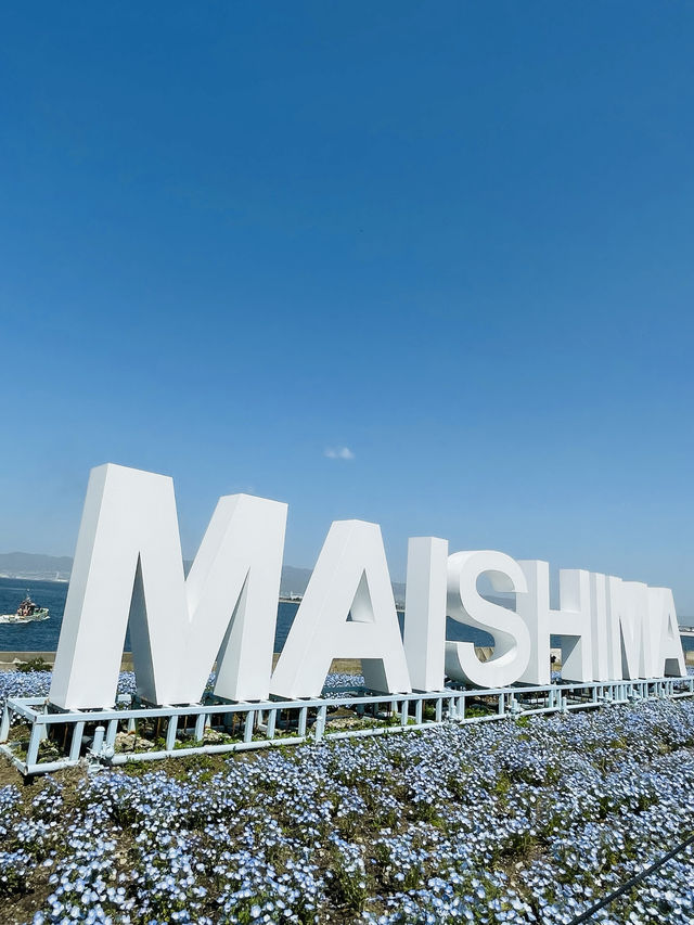 【大阪府】大阪まいしまシーサイドパークのネモフィラ祭り