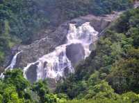 Skyrail Rainforest Cableway