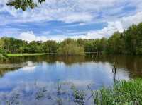 Cattana Wetlands