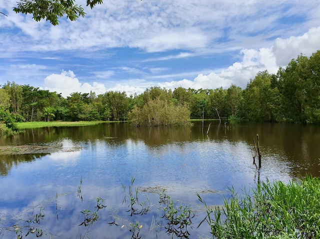 Cattana Wetlands