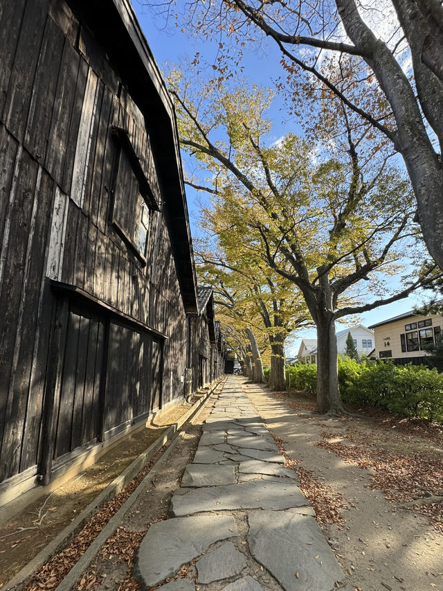 【山形】エモい🤍明治時代にタイムスリップ💫ノスタルジックな世界へ