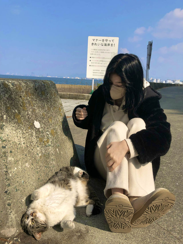 [일본 후쿠오카🇯🇵]나만 아는 힐링 장소:후쿠하마 해변