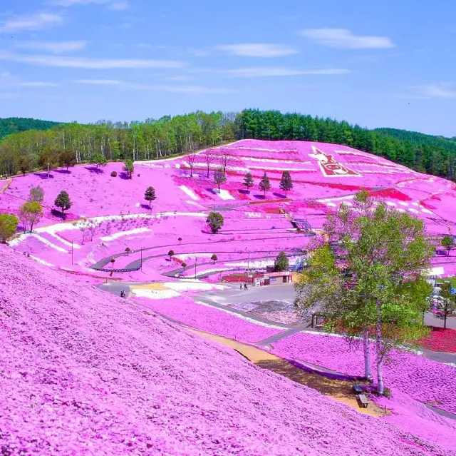 Higashimokoto Shibazakura Park