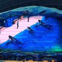 Zhuhai Chimelong Spaceship Park