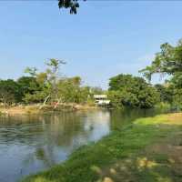 The Tree Riverside  Nature Resort