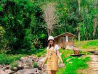 คาเฟ่น่ารักๆ บ่อเกลือ…หลงเขาคาเฟ่