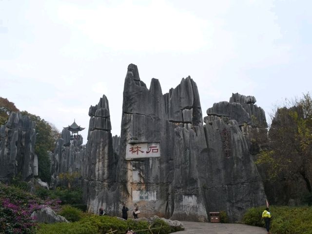 A magnificient stone forest formation, Shi-Lin Stone Forest