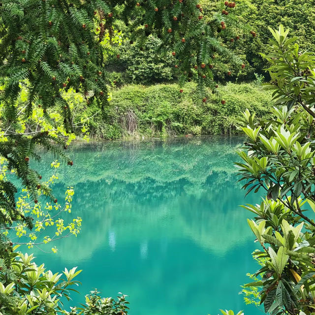 皿倉山～壯麗山景～此生難忘