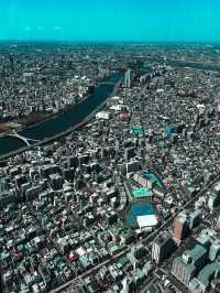 Tallest Tower in Tokyo
