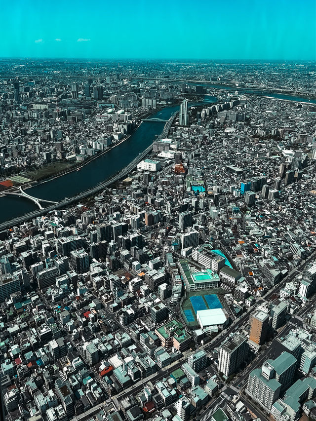 Tallest Tower in Tokyo