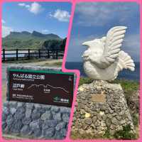【沖繩】邊戶岬：絕美景色，好去處！