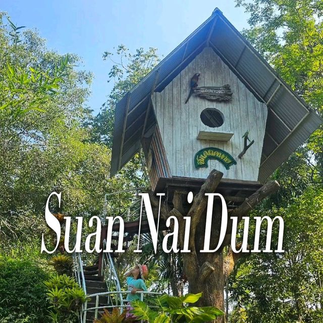 สวนนายดำ