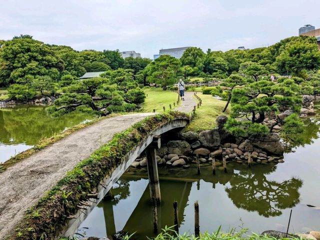 日本東京-靜謐清幽的名石山水園邸：清澄庭園