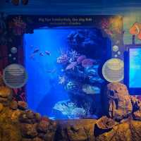 Sea Life  Bangkok