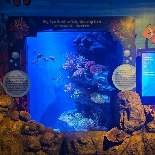 Sea Life  Bangkok
