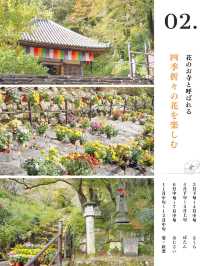 奈良に美し過ぎる『お寺』があるって知ってた⁉️