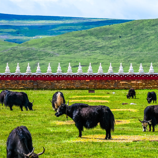 Muyada Temple in Daocheng: Serenity Amidst Nature