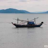 เกาะเต่า